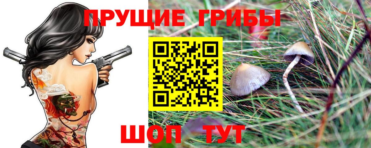 Нефтеюганск  Псилоцибиновые грибы прущие грибы  Вход с VPN  Галлюциногенные грибы прущие грибы 